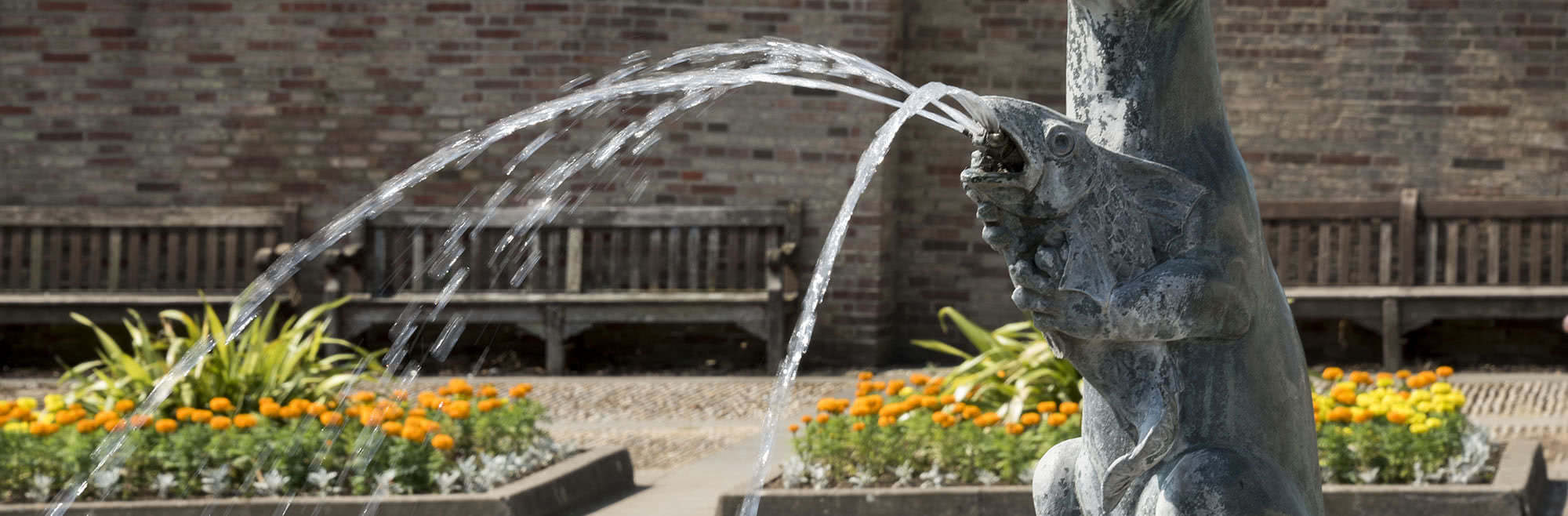 Fish fountain in Braintree